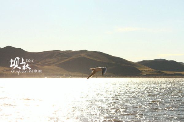 豐寧壩上景點圖片