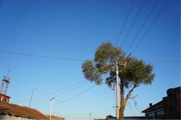 豐寧壩上自助游圖片