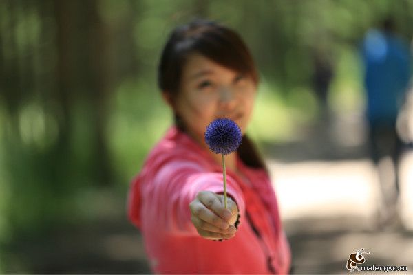 豐寧壩上旅游攻略圖片