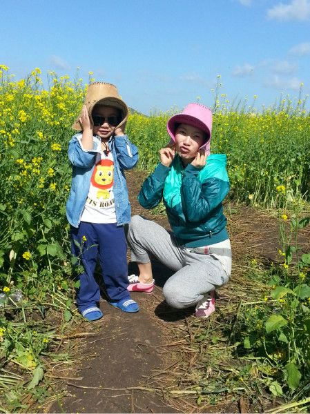豐寧壩上圖片