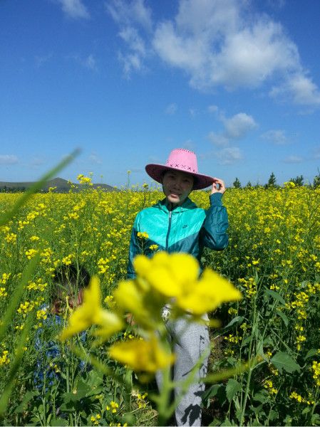 豐寧壩上自助游圖片
