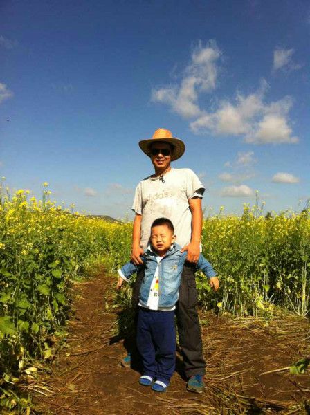 豐寧壩上圖片
