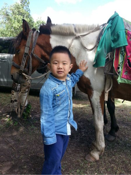 豐寧壩上旅游攻略圖片