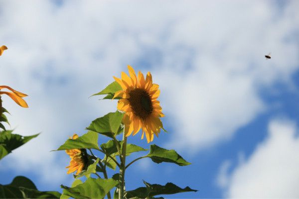 豐寧壩上旅游攻略圖片