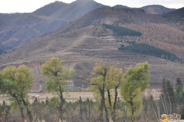 豐寧壩上旅游攻略圖片