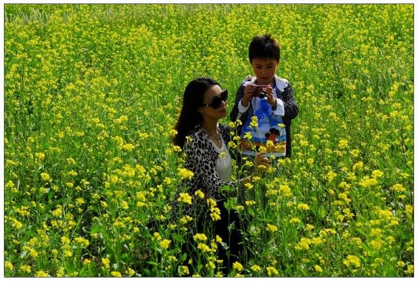 豐寧壩上自助游圖片