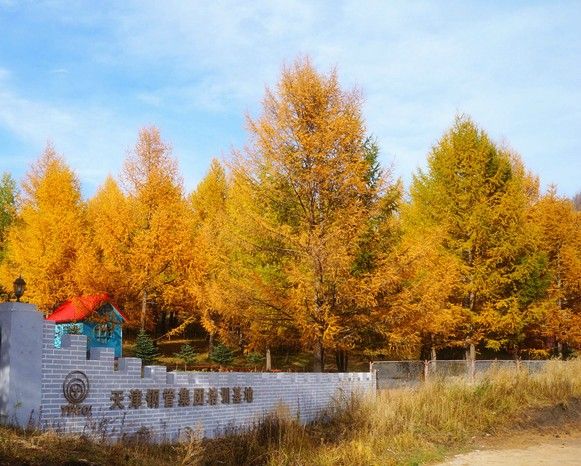 豐寧壩上旅游攻略圖片