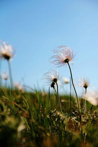 豐寧壩上景點(diǎn)圖片