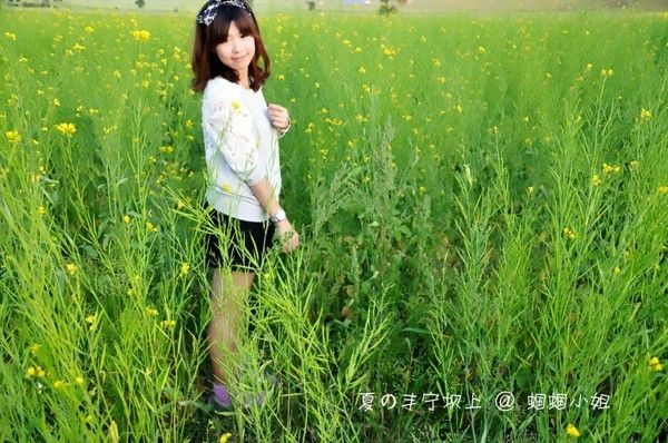 豐寧壩上景點圖片