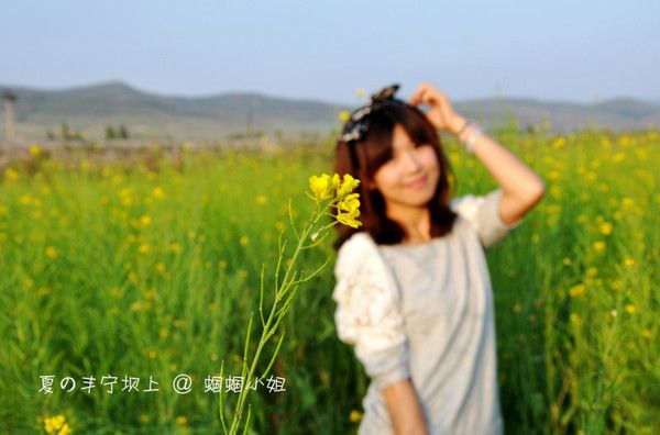 豐寧壩上自助游圖片