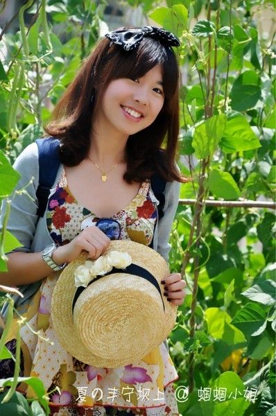 豐寧壩上自助游圖片
