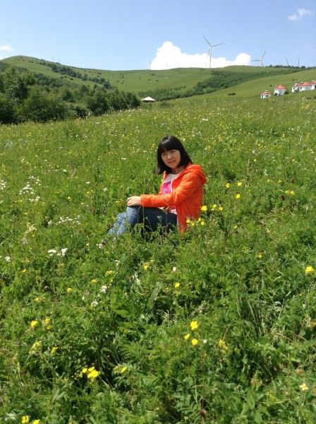 豐寧壩上自助游圖片