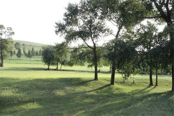 豐寧壩上旅游攻略圖片