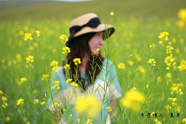 豐寧壩上景點(diǎn)圖片