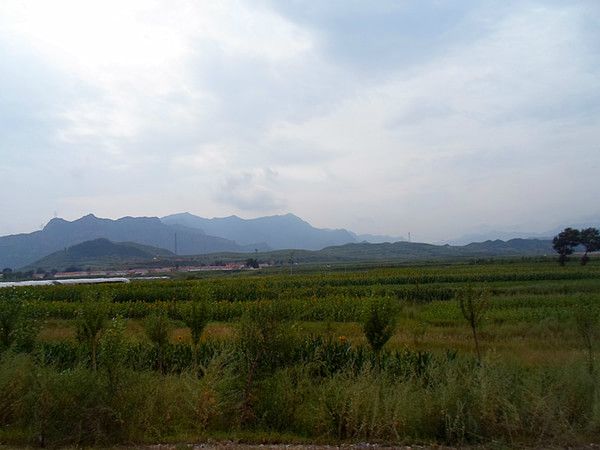 豐寧壩上旅游攻略圖片