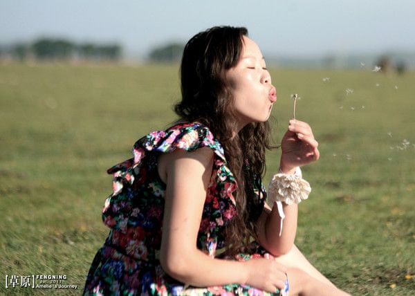 豐寧壩上自助游圖片