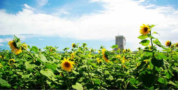 豐寧壩上旅游攻略圖片