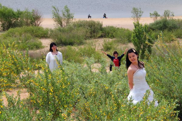 錫林郭勒旅游攻略圖片