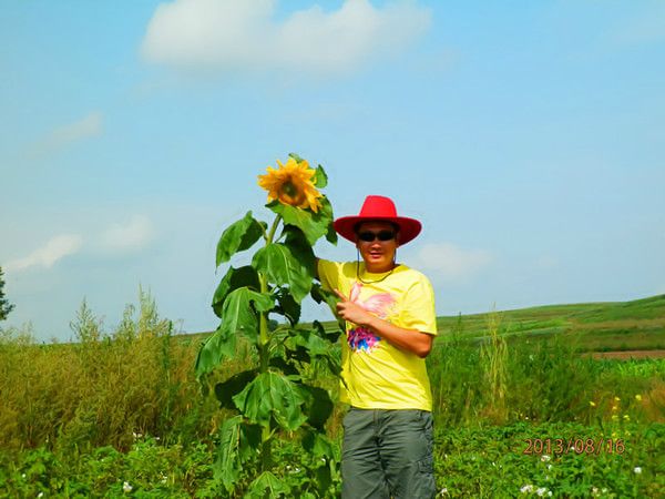 豐寧壩上旅游攻略圖片
