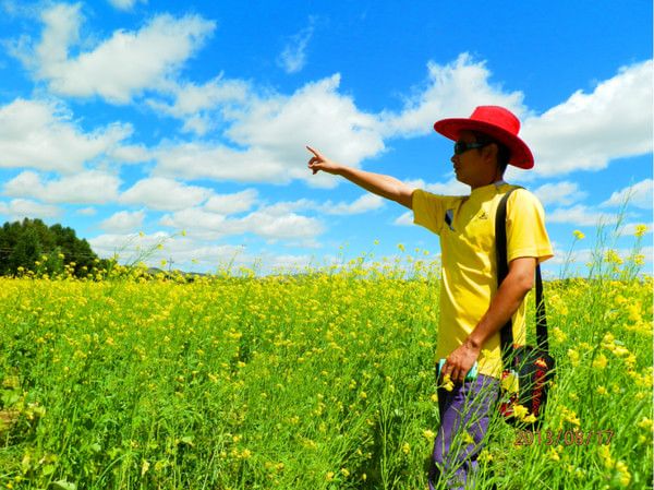 豐寧壩上旅游攻略圖片