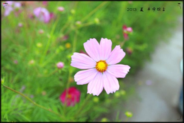 2013年夏豐寧壩上驚險休閑之旅