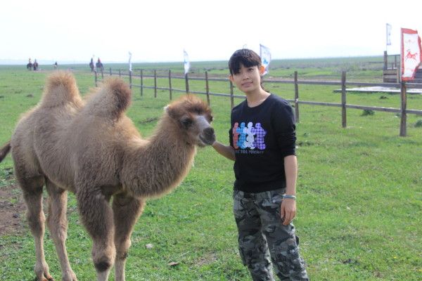 豐寧壩上旅游攻略圖片