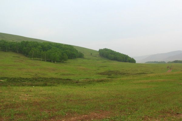 豐寧壩上自助游圖片