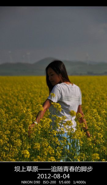 豐寧壩上旅游攻略圖片