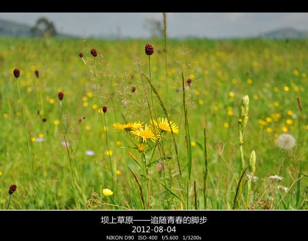 豐寧壩上景點(diǎn)圖片