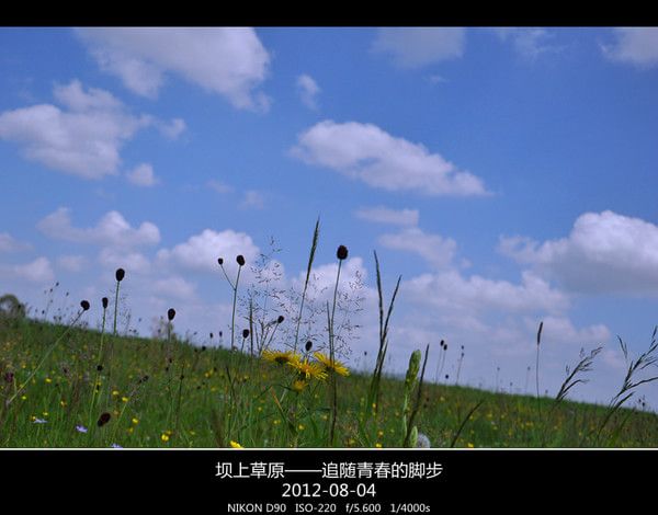 豐寧壩上自助游圖片