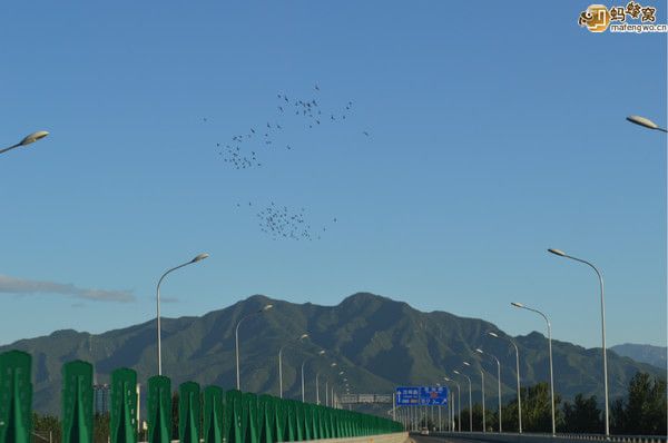 豐寧壩上圖片