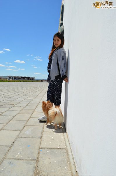 豐寧壩上自助游圖片