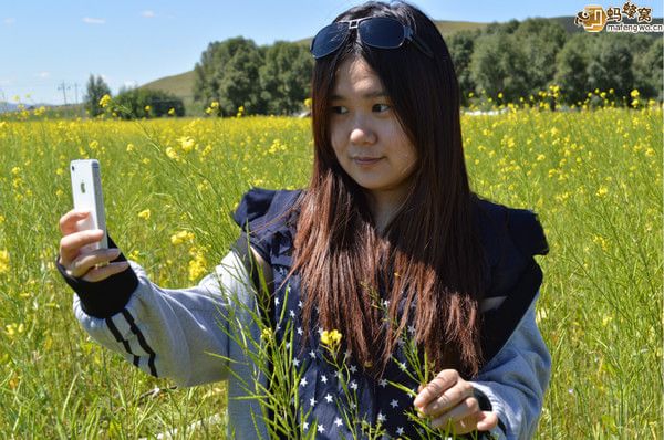 豐寧壩上圖片