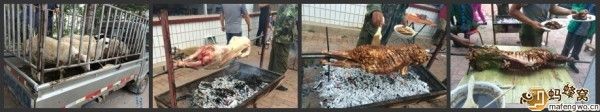 豐寧壩上圖片