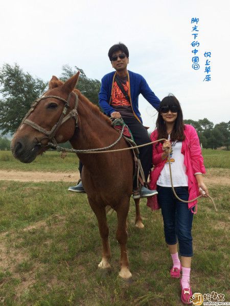 豐寧壩上自助游圖片