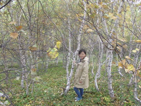 豐寧壩上旅游攻略圖片