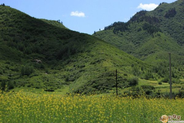 豐寧壩上旅游攻略圖片