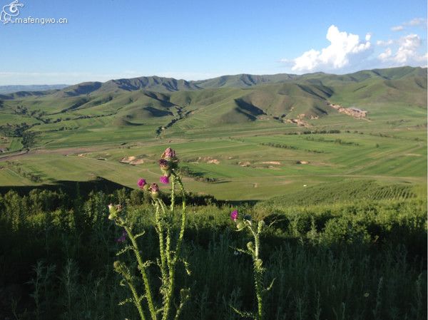 豐寧壩上旅游攻略圖片