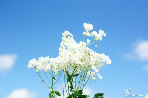 豐寧壩上景點(diǎn)圖片