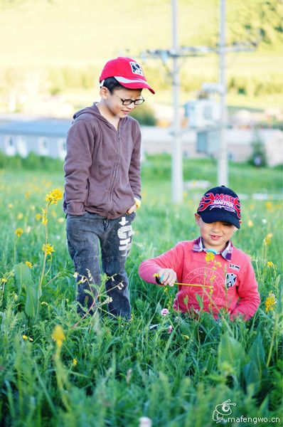 豐寧壩上景點(diǎn)圖片