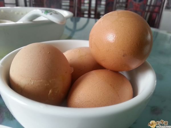 豐寧壩上自助游圖片