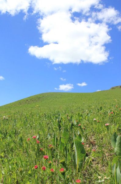 豐寧壩上旅游攻略圖片