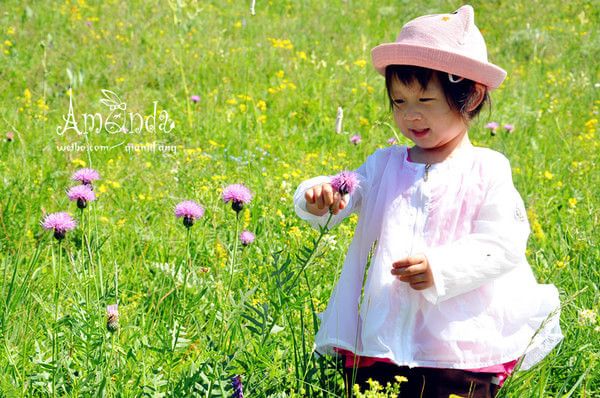 豐寧壩上景點圖片