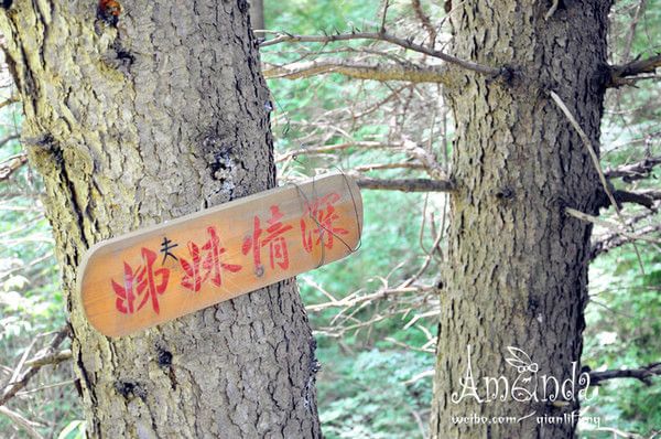 豐寧壩上圖片