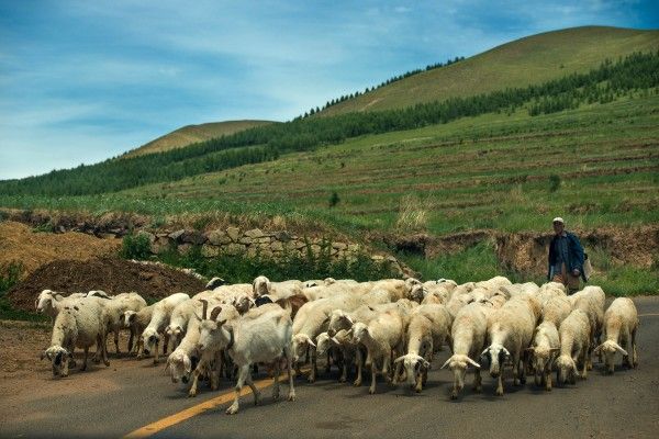 豐寧壩上旅游攻略圖片