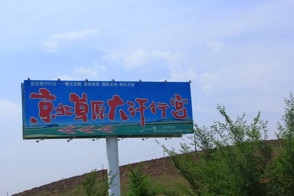 6月豐寧壩上草原之行