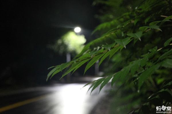 端午出發(fā)天津 壩上自駕游