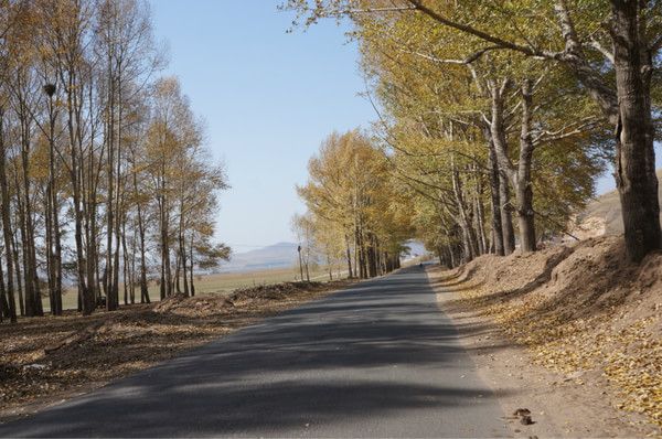 兩輛自行車 兩個(gè)人的壩上國(guó)慶騎行記