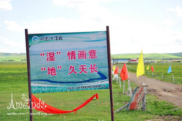 美麗的七月 我和壩上有個約會