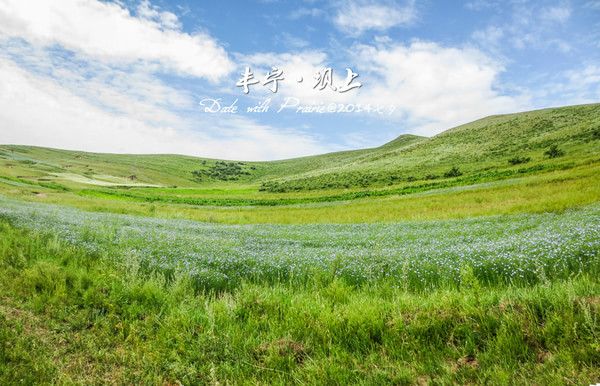 【豐寧壩上】七夕，我和草原有個(gè)約會(huì)